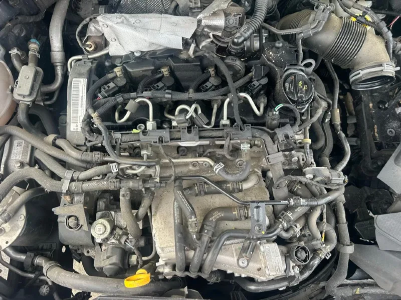 CXX Motore VW Audi 1.6 TDI 1598 TDI Audi