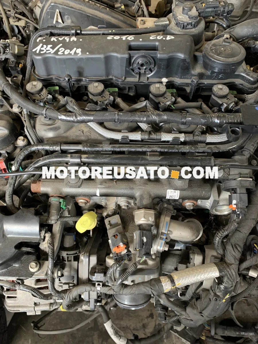 FORD KUGA 2016 2.0 DIESEL  TIPO MOTORE T7MA Ford usato
