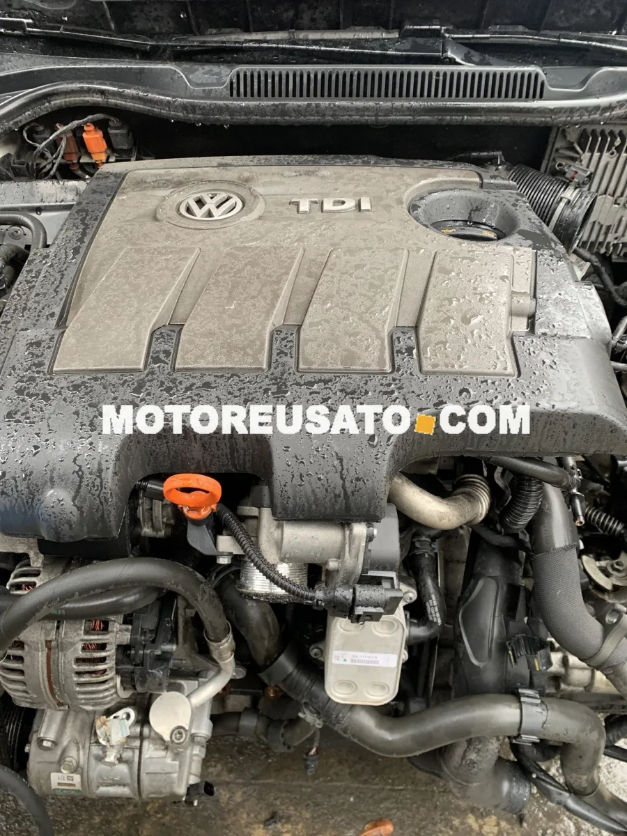 Motore CAY Polo 55kw