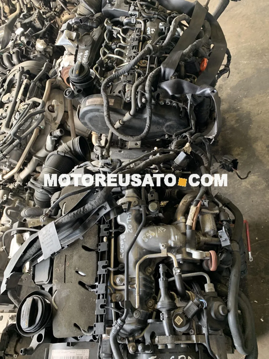 Motore CBD Golf 6