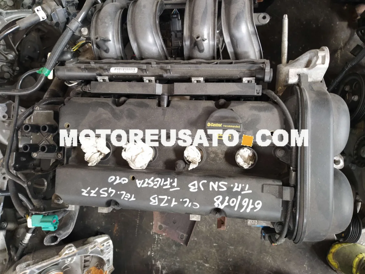 Motore Fiesta FNJB
