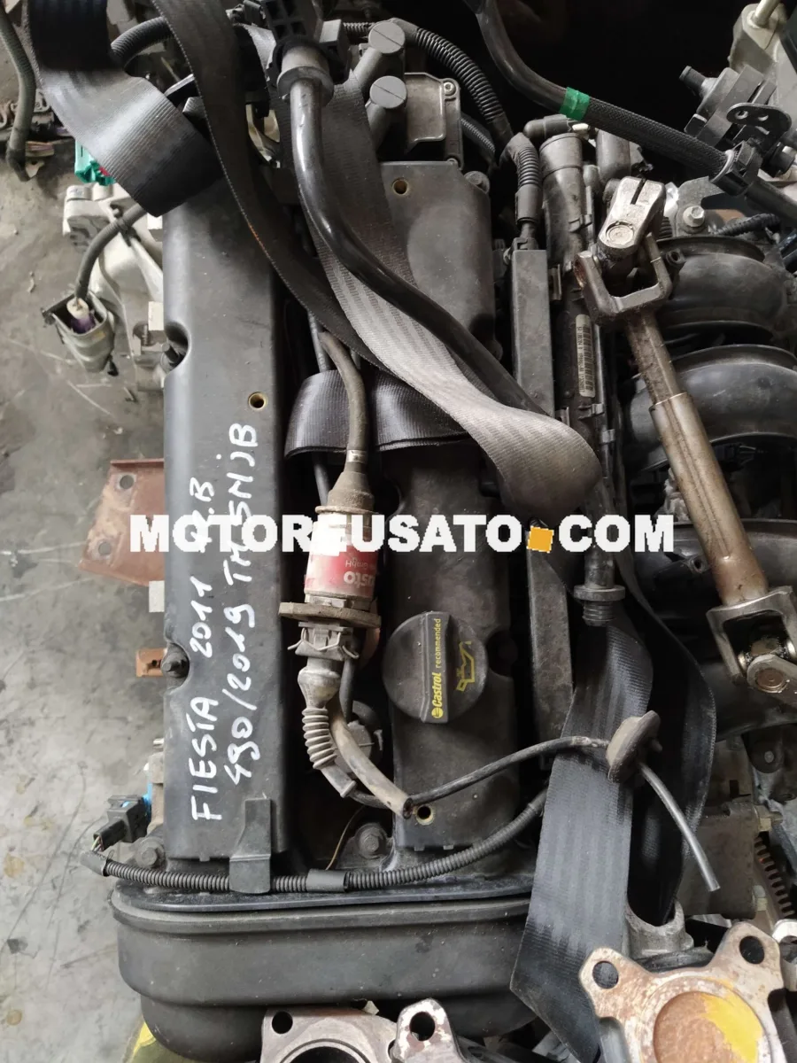 Motore ford fiesta SNJB