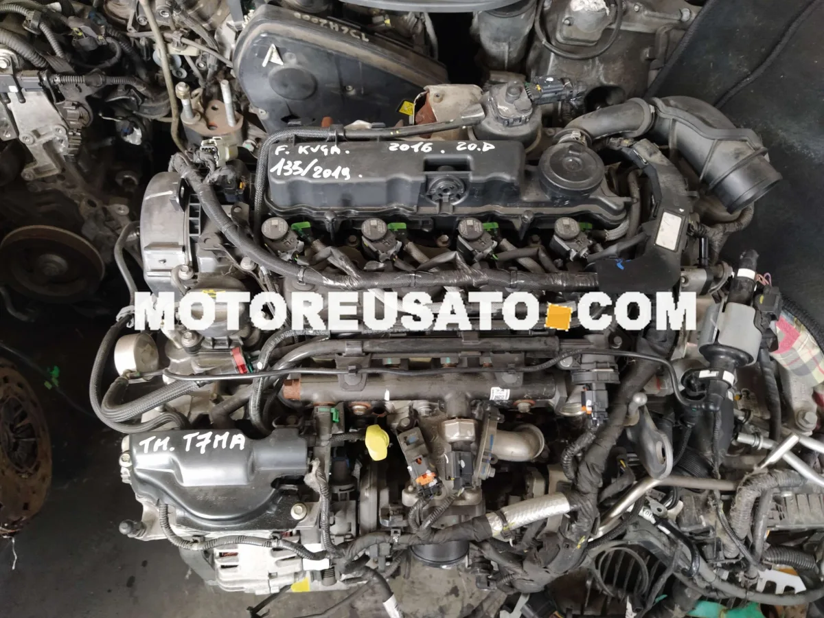 Motore Ford KUGA T7MA