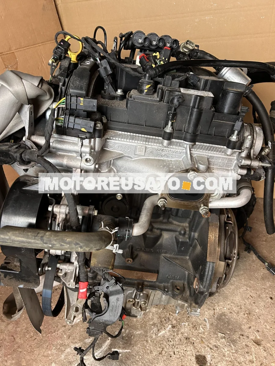 Motore SFJB Fiesta 998 ccm, 59 KW