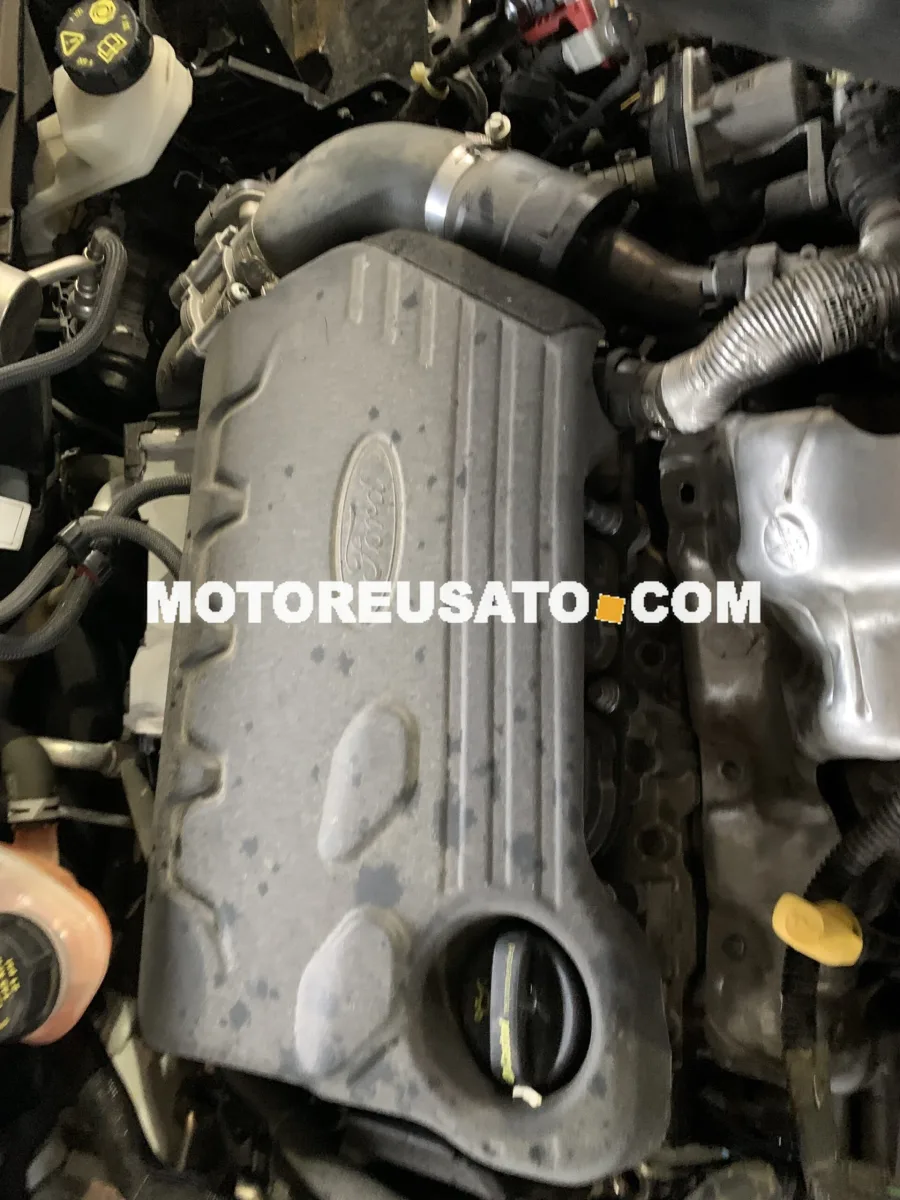Motore ZTDA Ford Focus 1.5 EcoBlue 95 cv Ford usato