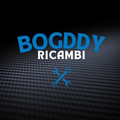 Logo BOGDY RICAMBI